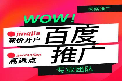 某公司如何通过SEM实现精准营销——从策略到执行的完整案例